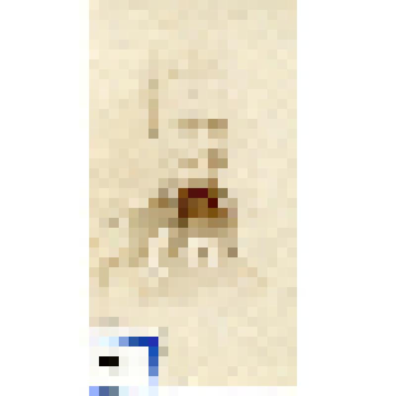 Фотография черно-белая. Юргенсон Николай Павлович