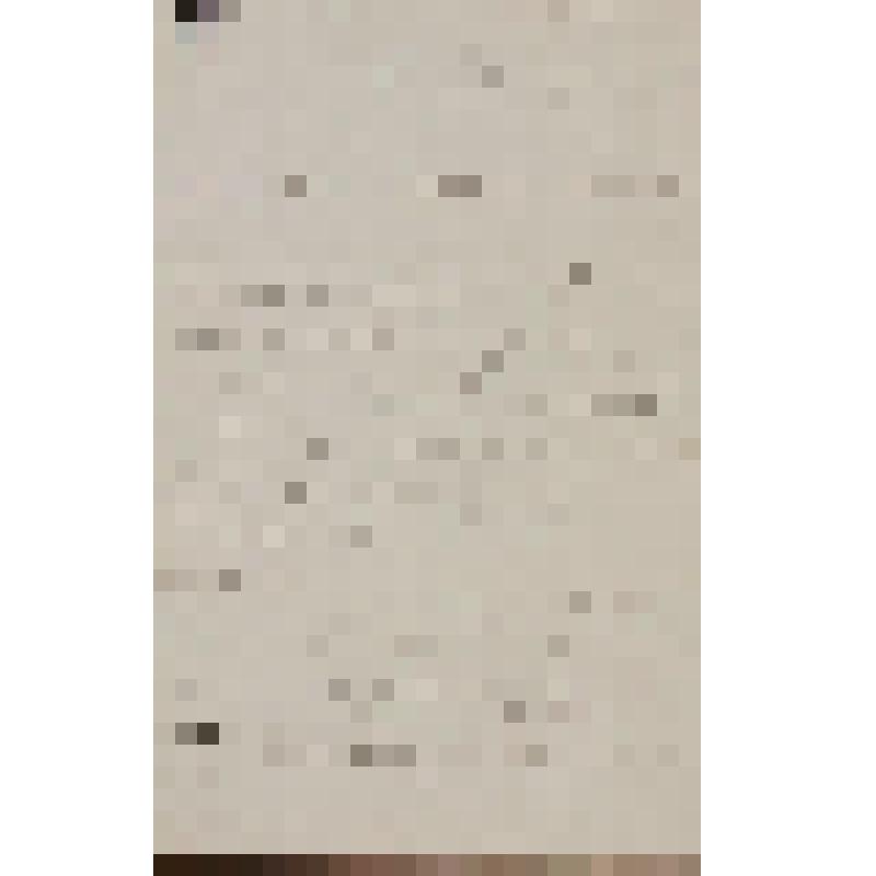 Кашперов Владимир Никитич. Письмо Островскому А. Н. о работе над оперой