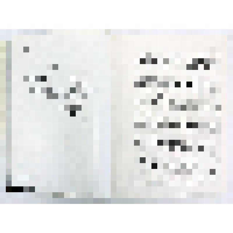 Книга. Изобразительное искусство  Арабской Республики Египет / А.А. Богданов. - М.: "Изобр. искусство", 1975. - 224 с