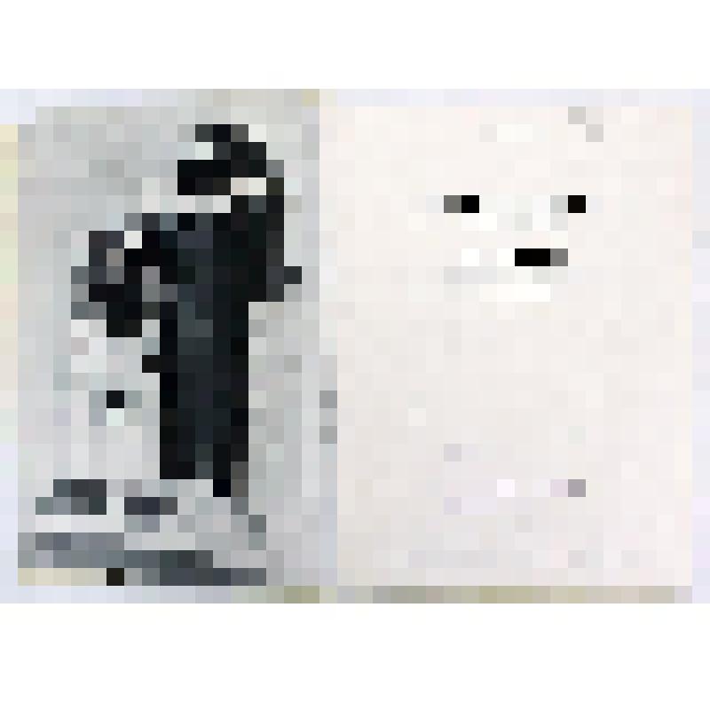 Книга. Изобразительное искусство  Арабской Республики Египет / А.А. Богданов. - М.: "Изобр. искусство", 1975. - 224 с