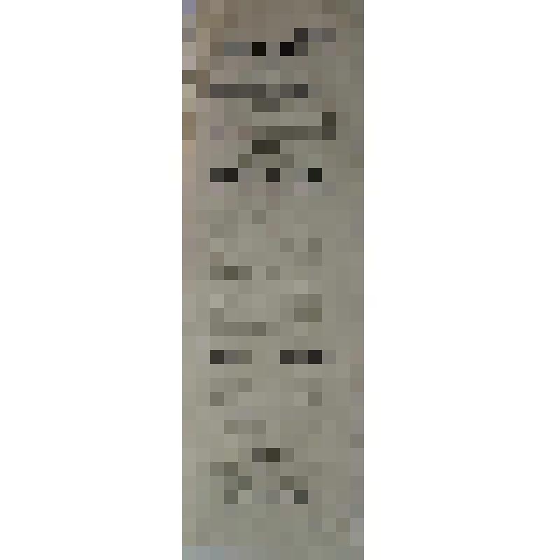 Программа с исполнителями. "Фатиница" (Режиссёр - Н.Т. Митраков.). Архангельск, Городской театр; Антреприза, Труппа русских оперо-опереточных артистов дирекции Ф.В. Валентетти