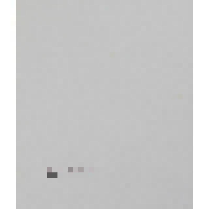 Литография "Портреты Т.Г.Шевченко и М.С.Никитина". Россия 1861 г