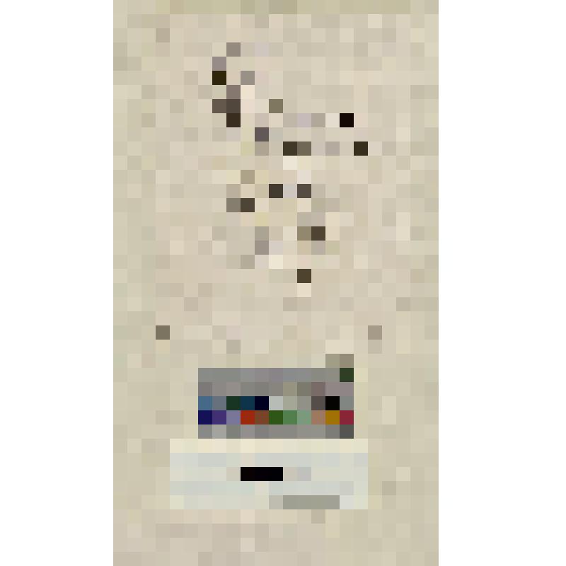 Поясное изображение мужчины играющего на трубе