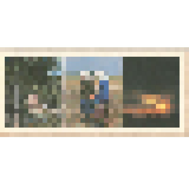 Фотооткрытка "Русские матери. Братская могила в с. Сторожевом"