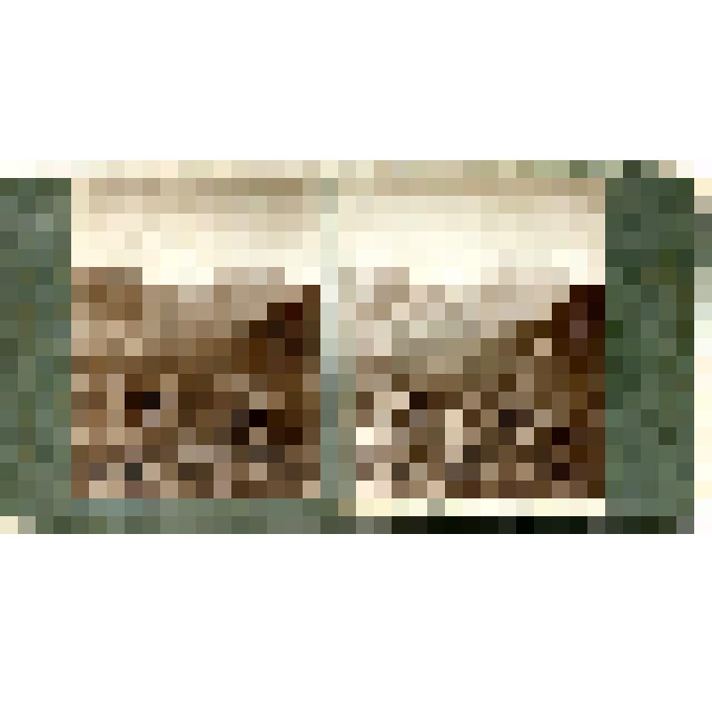 Карточка для стереоскопа «Эльбрус издали со склона Даутского перевала через долину р. Уллу-Хурзук; аул Учкулан». Из коллекции «Кавказ» с видами природы Западного Кавказа, серии 3-№1. Автор фото Н.Л. Минервин