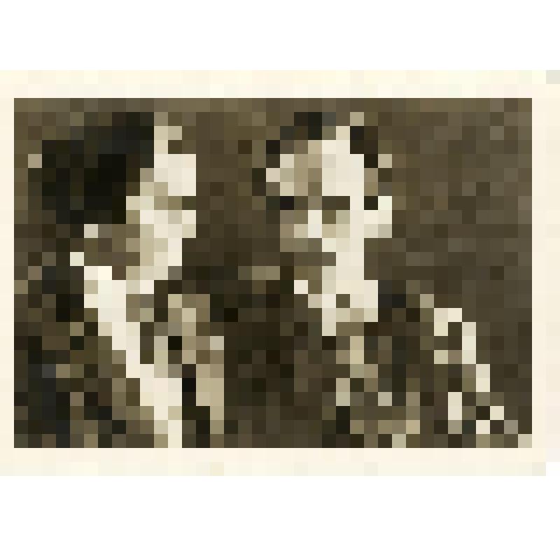 Открытка. Н. Островский с матерью О.О. Островской. Сочи,1935 г