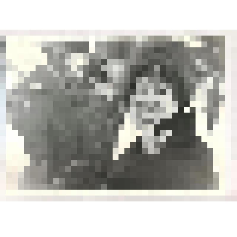 Фотография черно-белая