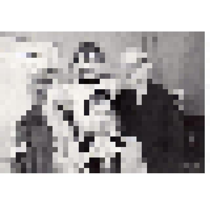 Фотография. В.Г. Кольцов в группе, режиссерская работа в училище. "Ревизор"