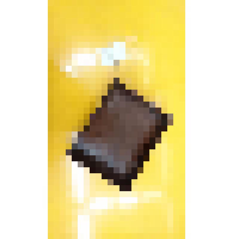 Туалетный стол из 12 предметов, соединяющий несколько функций. Лоток