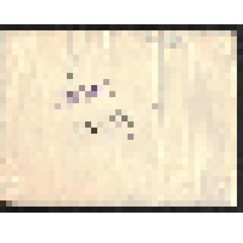 Фотография. Бойцы и командиры 44-й стрелковой дивизии