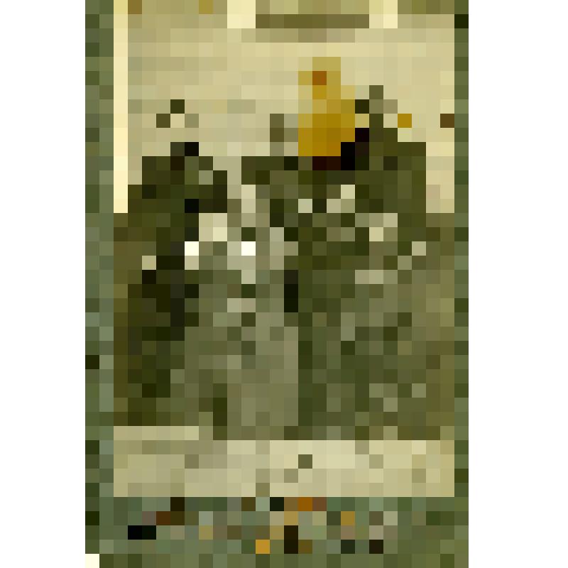 Фотография групповая (на паспарту)