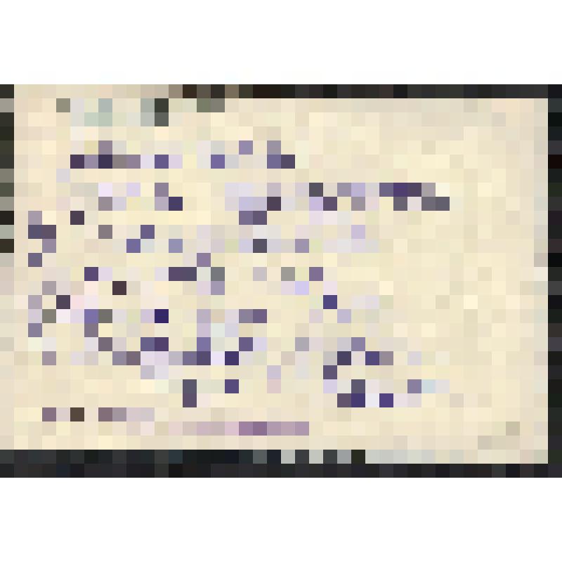 Фотография. Тихон Федорович Побивайло