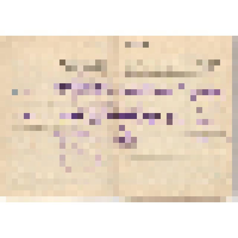 Книжка трудовая Кашкаровой (Страуманис) 
А. П. Дата выдачи: 15 мая 1955 г. С вкладышем в 
трудовую книжку на русском  языке (16.07.1971)
С вкладышем в трудовую книжку на латышском 
языке (16.07.1971)