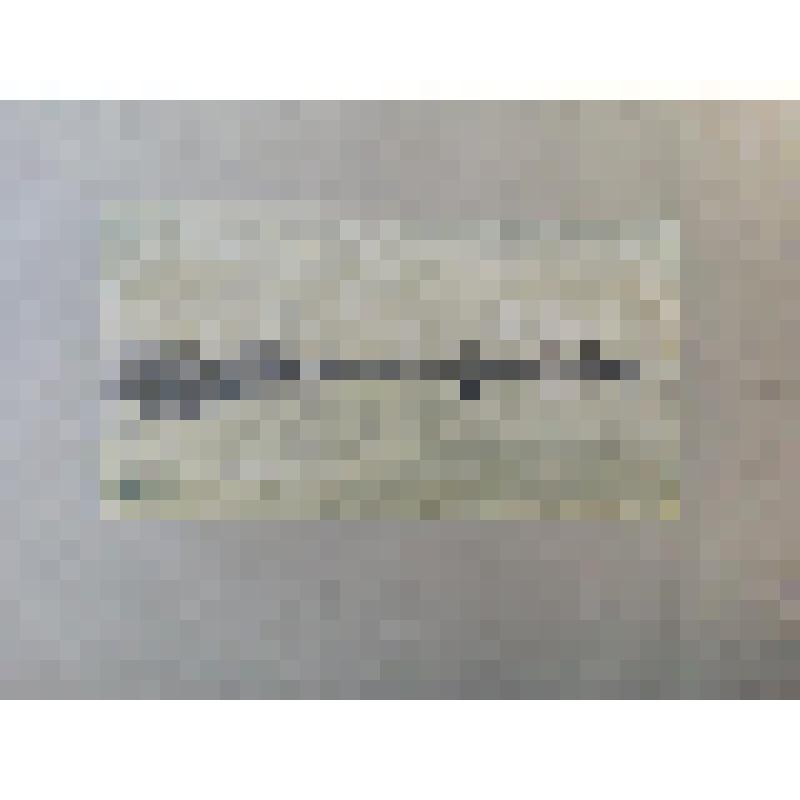 ксилография. "Нева ранним утром". Вид от Петропавловской крепости на Зимний дворец и Стрелку Васильевского острова. Авторское повторение литографии 1922 года (из альбома литографий "Петербург". Петроград. 1922)