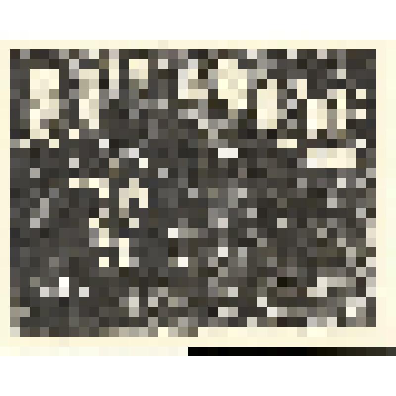 Мужчина и маска, гравюра