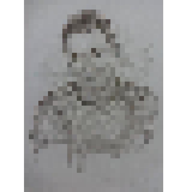 Рисунок. Портрет Салавата Фатхетдинова