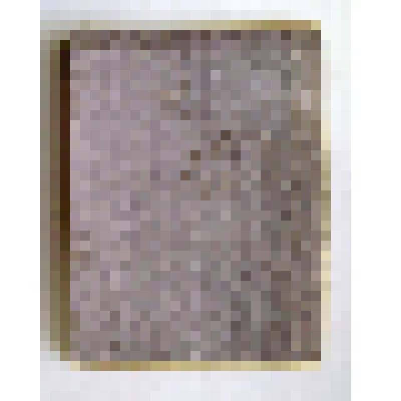 Книга. Наставление для обучения стрельбе из пулеметов. – Петроград: Изд. В. Березовский, 1915