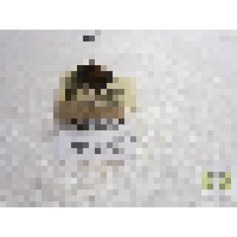 Кузька хлебный  (Anisoplia austriaca Hbst.)