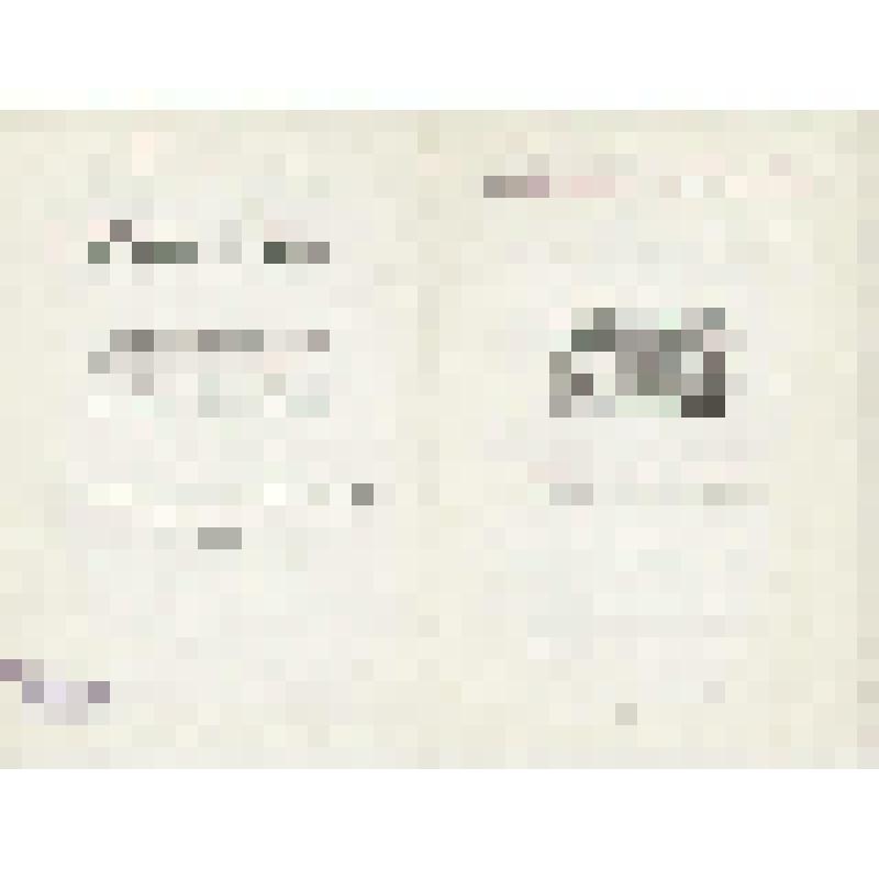 Программа. "Медный всадник" (Дирижер - Файер Ю.Ф. Постановка - Захаров Р.В. Художник - Бобышов М.П.). Москва, Государственный академический Большой театр СССР