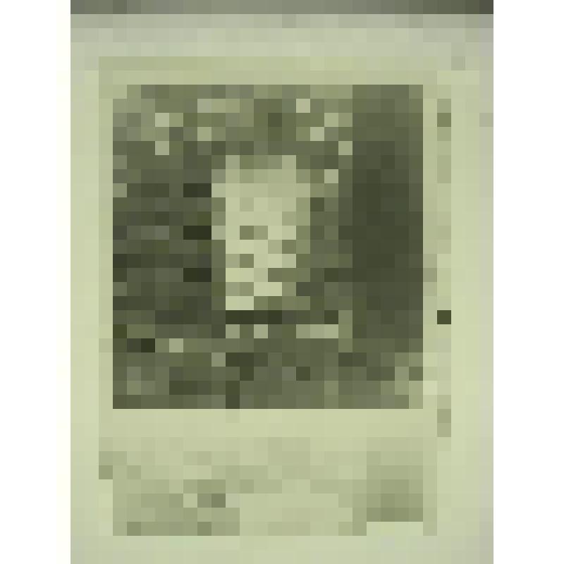 Усадьба управляющего Кусинским заводом. Главный дом. улица Андроновых, 13. 1895 г., 1909 г. Челябинская  обл., Кусинский р-н, г. Куса. Усадьба управляющего Кусинским заводом. Служебный флигель. улица Андроновых, 13. 1895 г., 1909 г. Тележников Ф. А. Окно