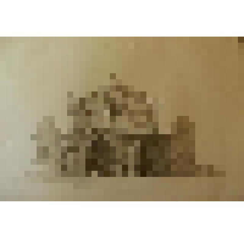 Литография. Задний фасад. Из Серии литографированных чертежей "Новая Опера в Париже". Франция, Париж, Парижская Опера (Opéra de Paris)