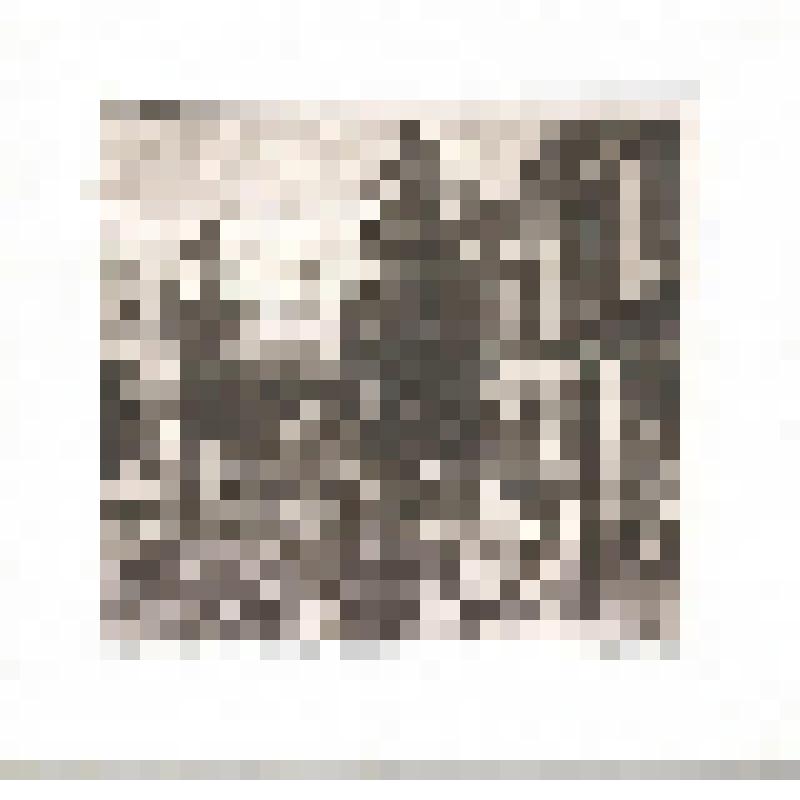 Гравюра. Нач. ХХ века. Улица Московская