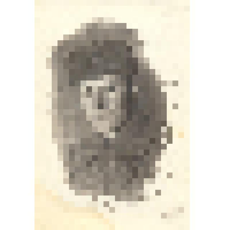 Фотография черно- белая, глянцевая. Изображение погрудное. Молодой красноармеец в шинели и шапке- ушанке со звездой – Мигачев Максим Иванович, участник ВОВ, 1917 г.р. с. Николаевка Тисульского района, Кемеровской области. Призван из г. Тайга. после ВОВ ра