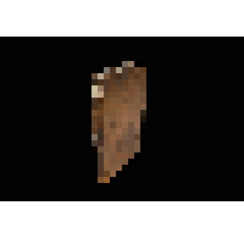 Книга старопечатная. Священная история.  Кн.1-2.  М., Синодальная тип.,1783