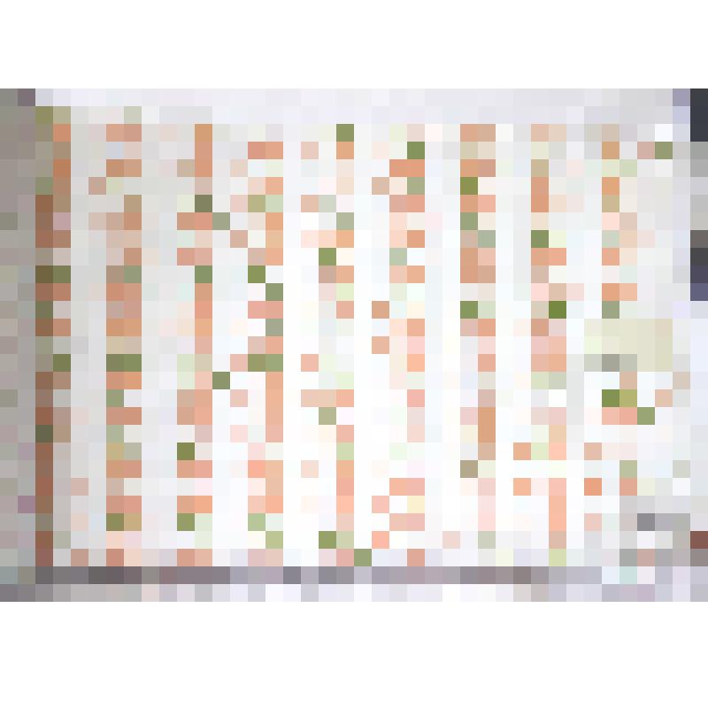 Образец ситца набивного, в альбоме