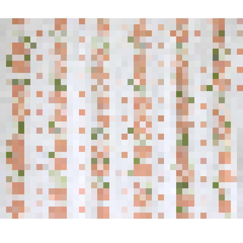 Образец ситца набивного, в альбоме