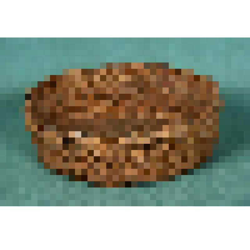 Корневушка