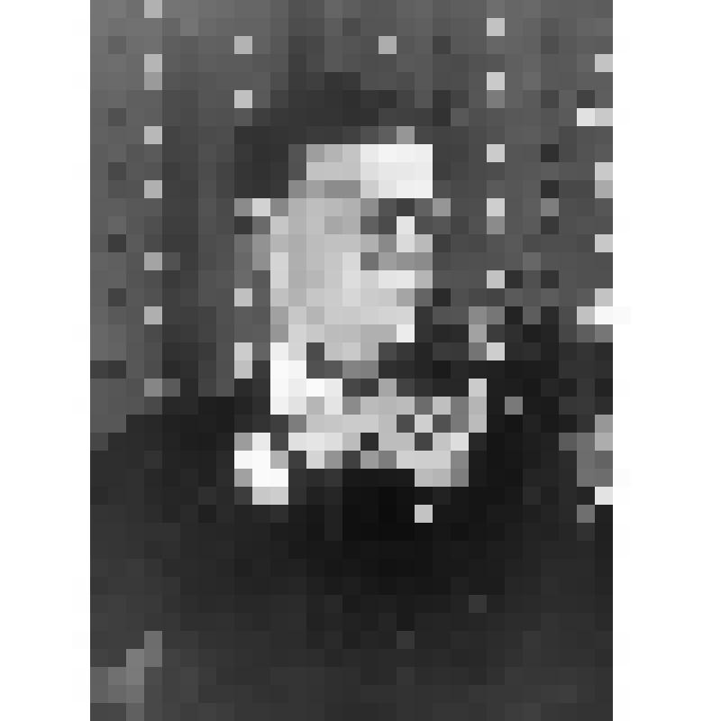 Негатив. Джэкоби Р. - английский скрипач