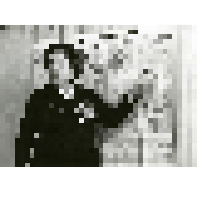 Фотография ч/б. Скичко Александра Ивановна, ветеран Великой Отечественной войны