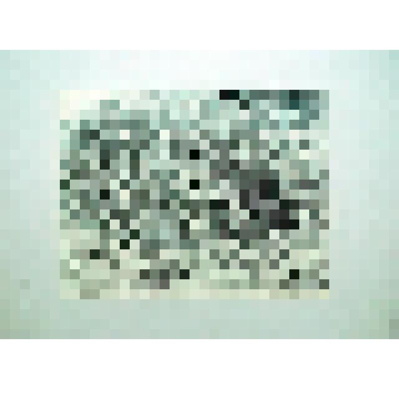 Возвращение с лугов