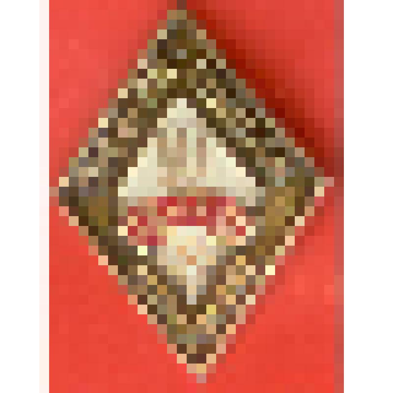 Значок нагрудный "10 класс. Средняя школа"