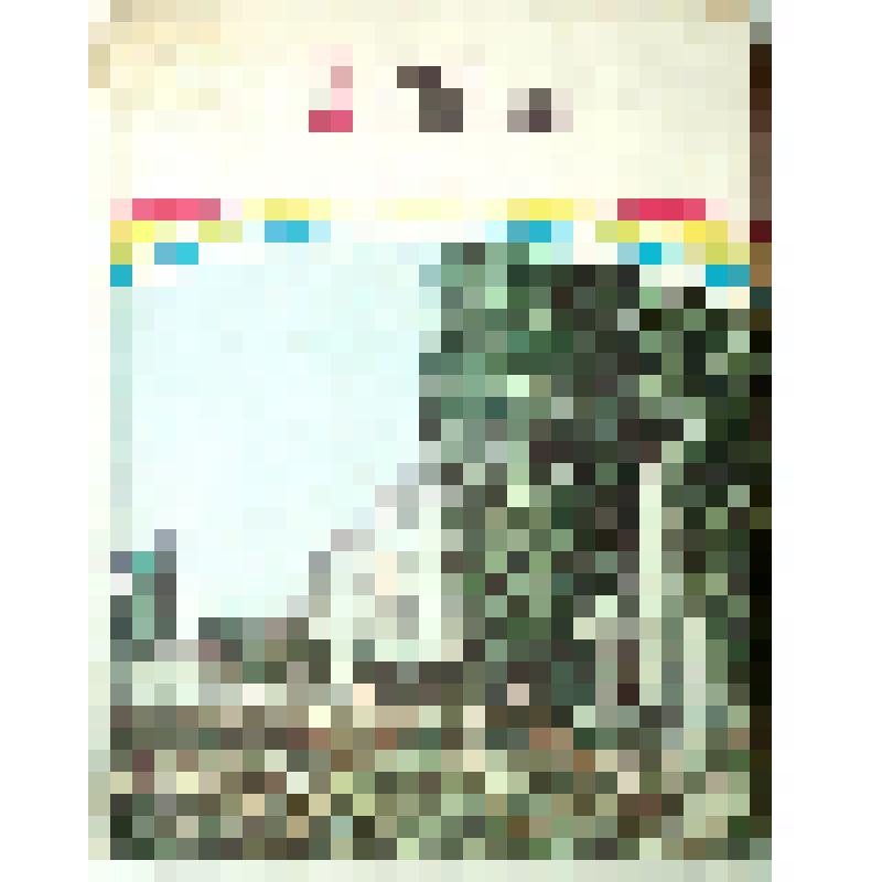 Книга "Город и природа. Проблемы экологии, опыт их решения" из серии "Потомкам - цветущую землю"