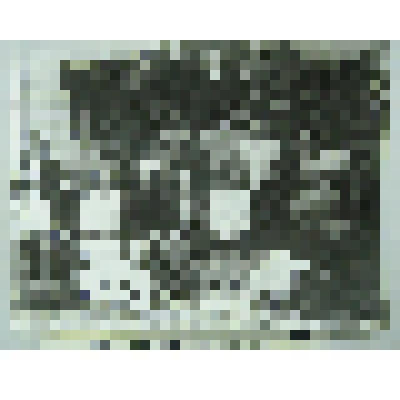 Фотография. Члены кантонного Совета