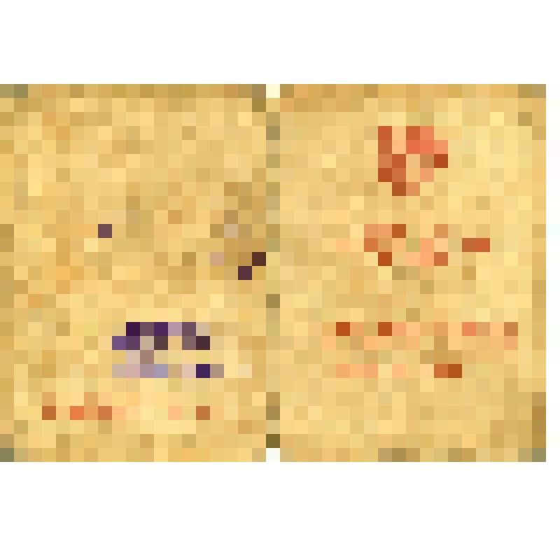 Удостоверение М № 0092216 к медали "За победу над Германией в Великой Отечественной войне 1941-1945 гг." Сёмина Степана Емельяновича