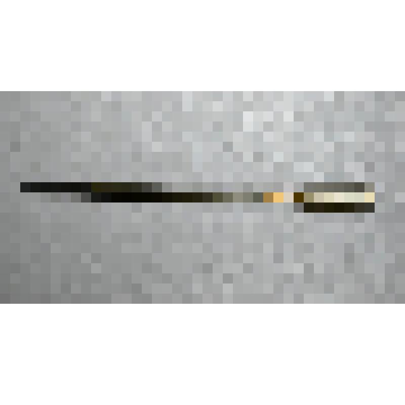 Патрон СП - 10 специальный с трассирующей  пулей (для стрельбы под водой из боевого оружия). Калибр - 5,66 мм