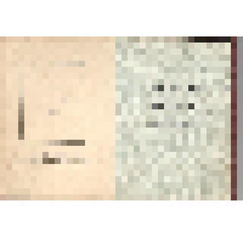 Орденская книжка А.Е. Солдатова