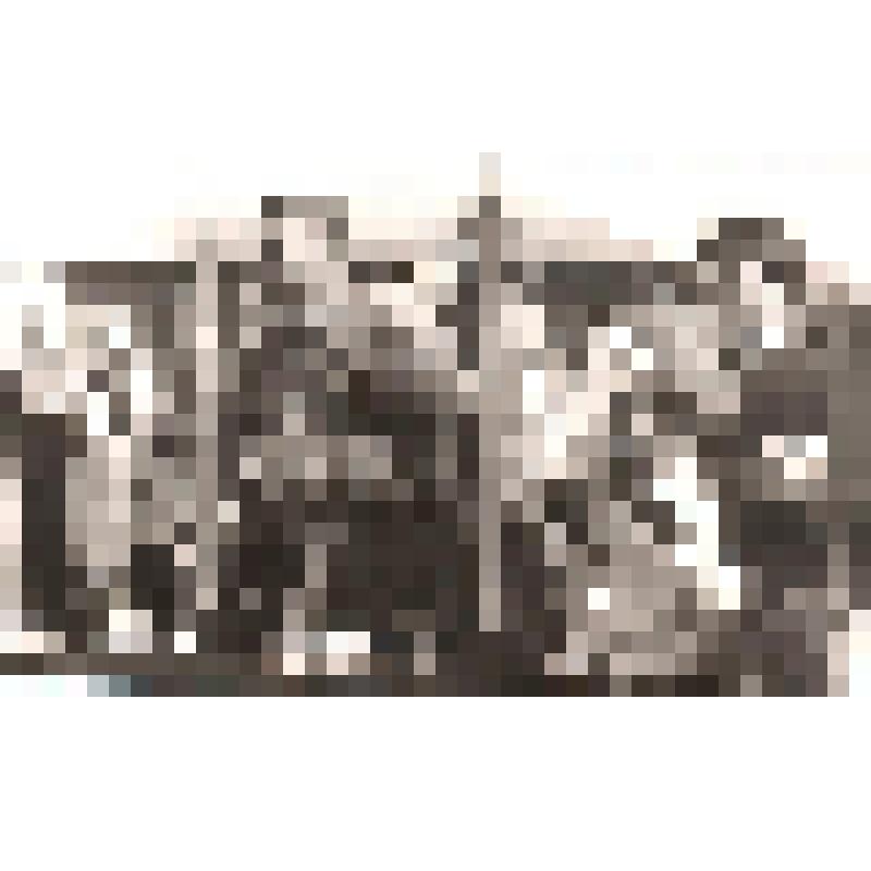 Фотография. Встреча комсомольцев 1920-х годов с учениками и учителями Самойловской средней школы