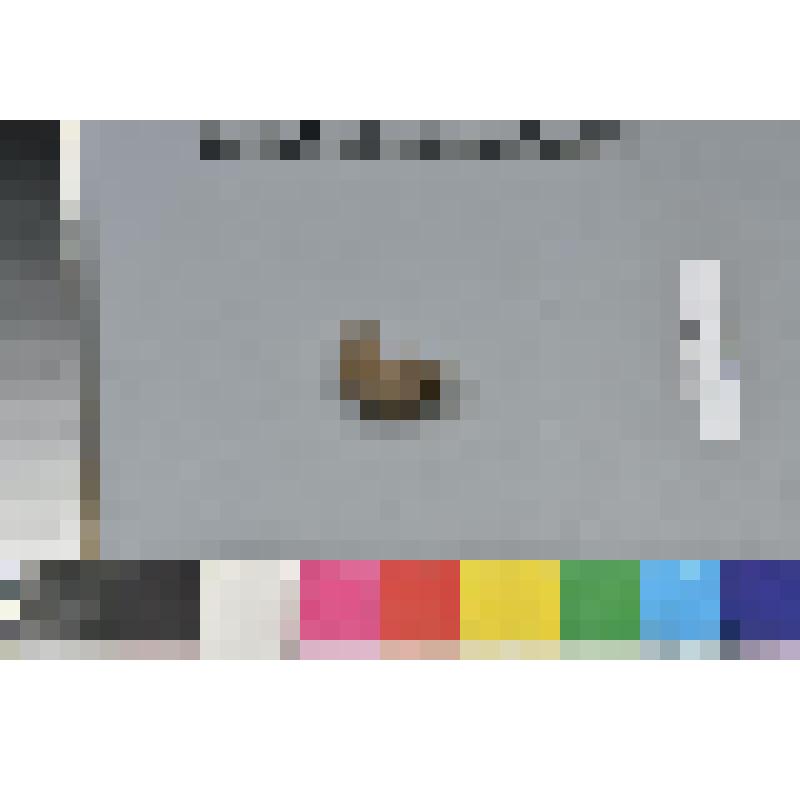 Половинка пряслица