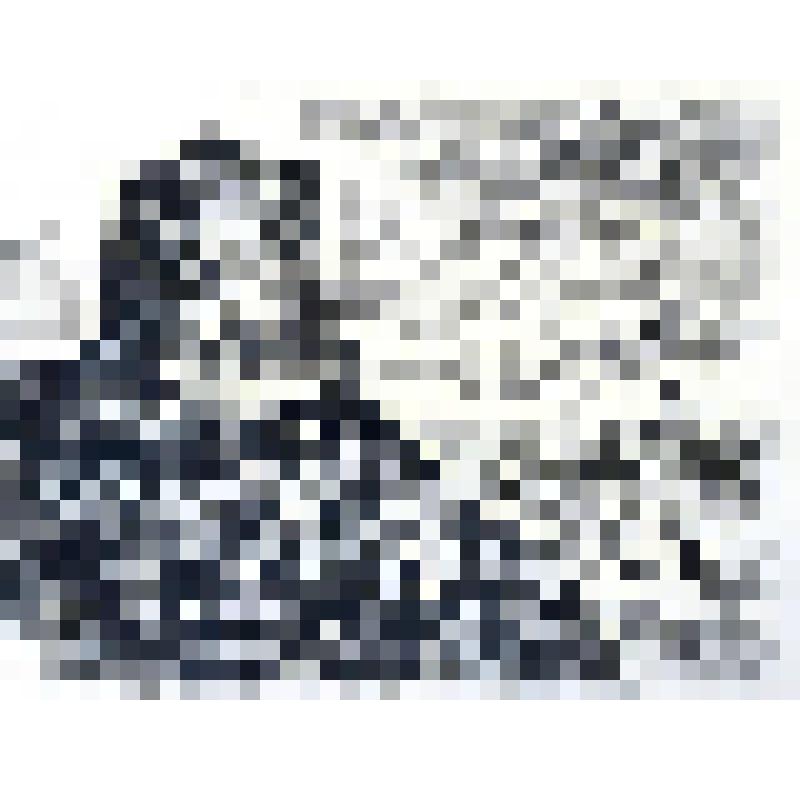 Офорт "Чертово городище"