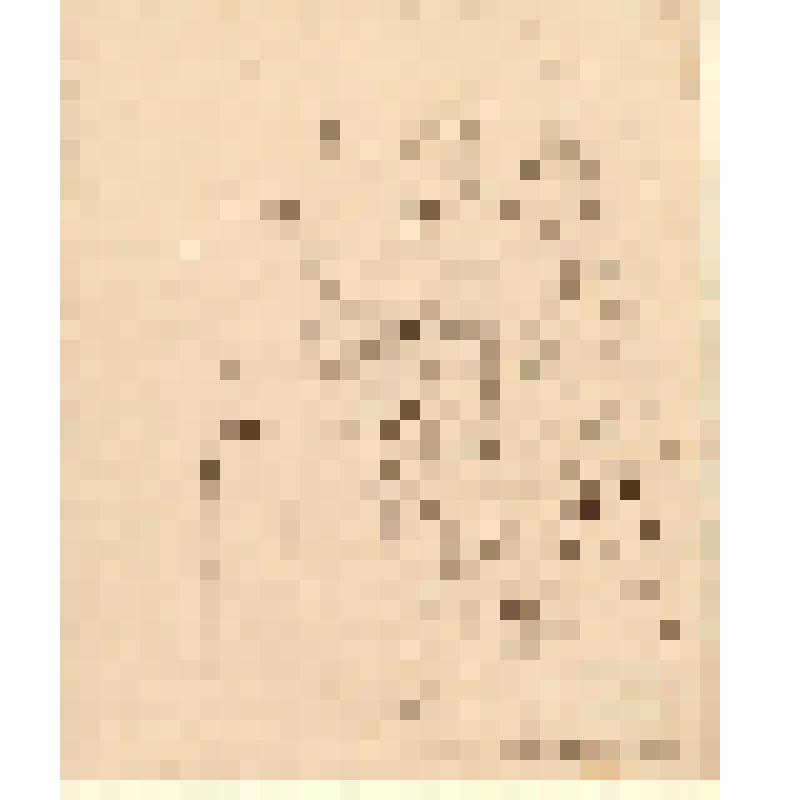 Эскиз для иконы. Архангел