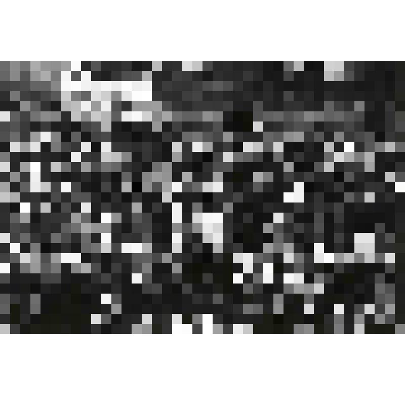 Листая старый альбом... Пенза 1940-1960-х гг. Выпуск 7. Открытка 10. Центральный рынок на ул. Московской, за Мясным пассажем, сер. 1950-х гг