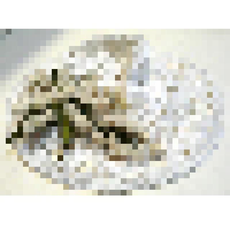 Шляпа женская вязаная крючком "Ландыш". 2012 г