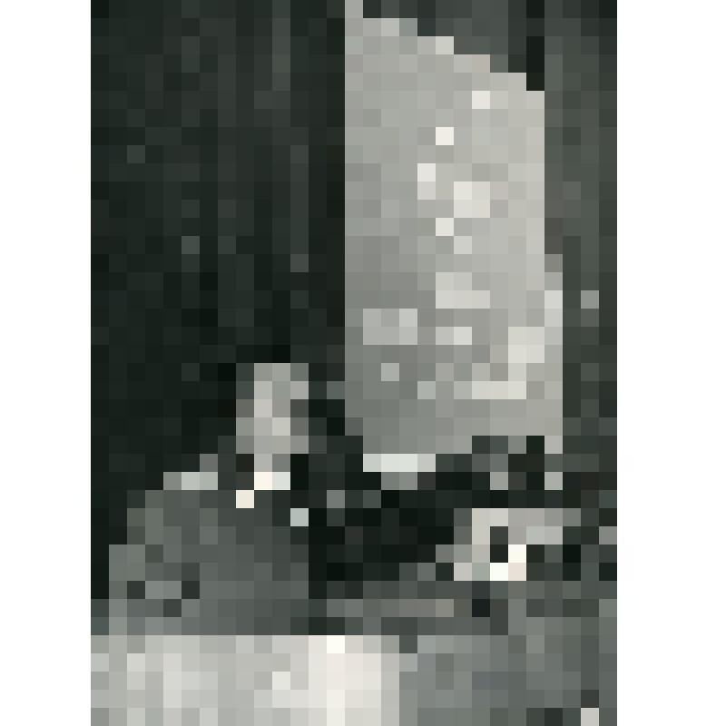 Вечер дружинника пролетарского района г. Москвы