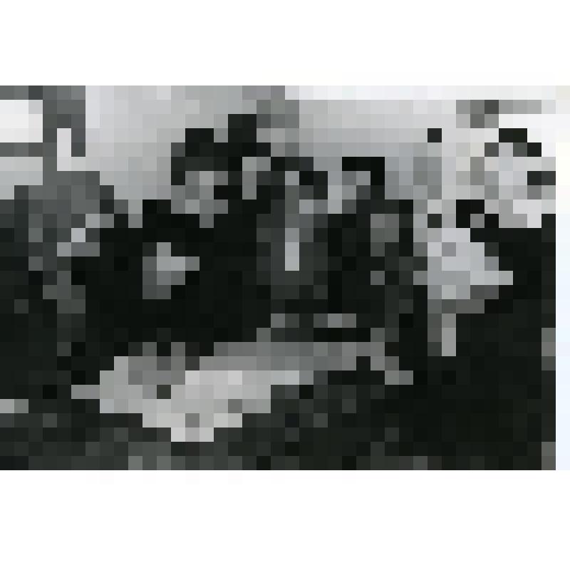 В колхозе им. Чапаева