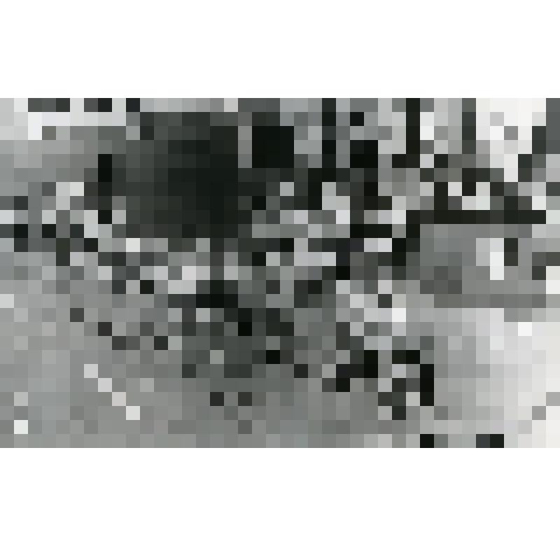 Спортивные игры по программе "Вас вызывает Спортландия"