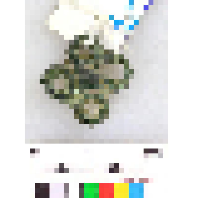 Бляшка